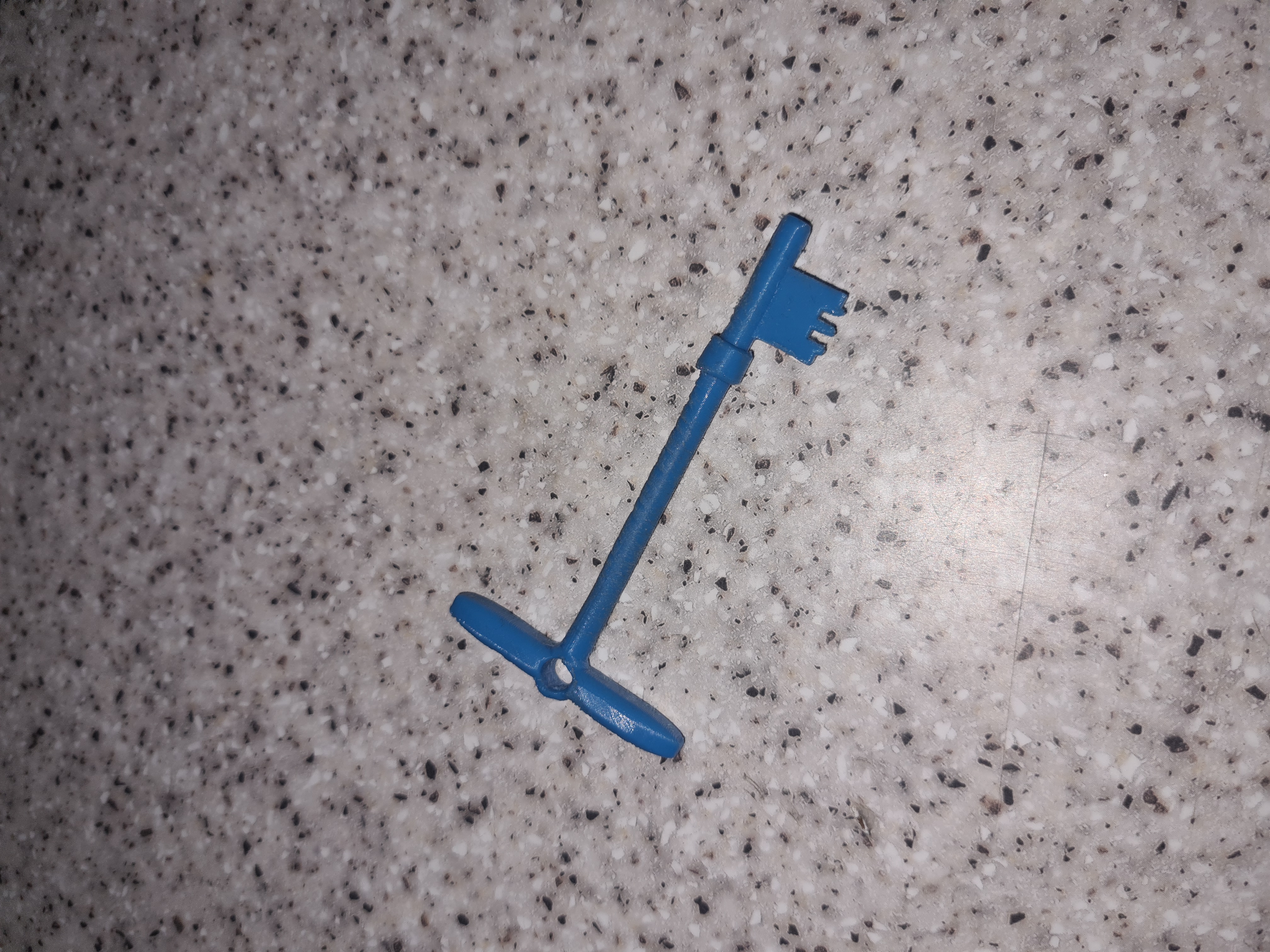 Radar Disabled Toilet Key