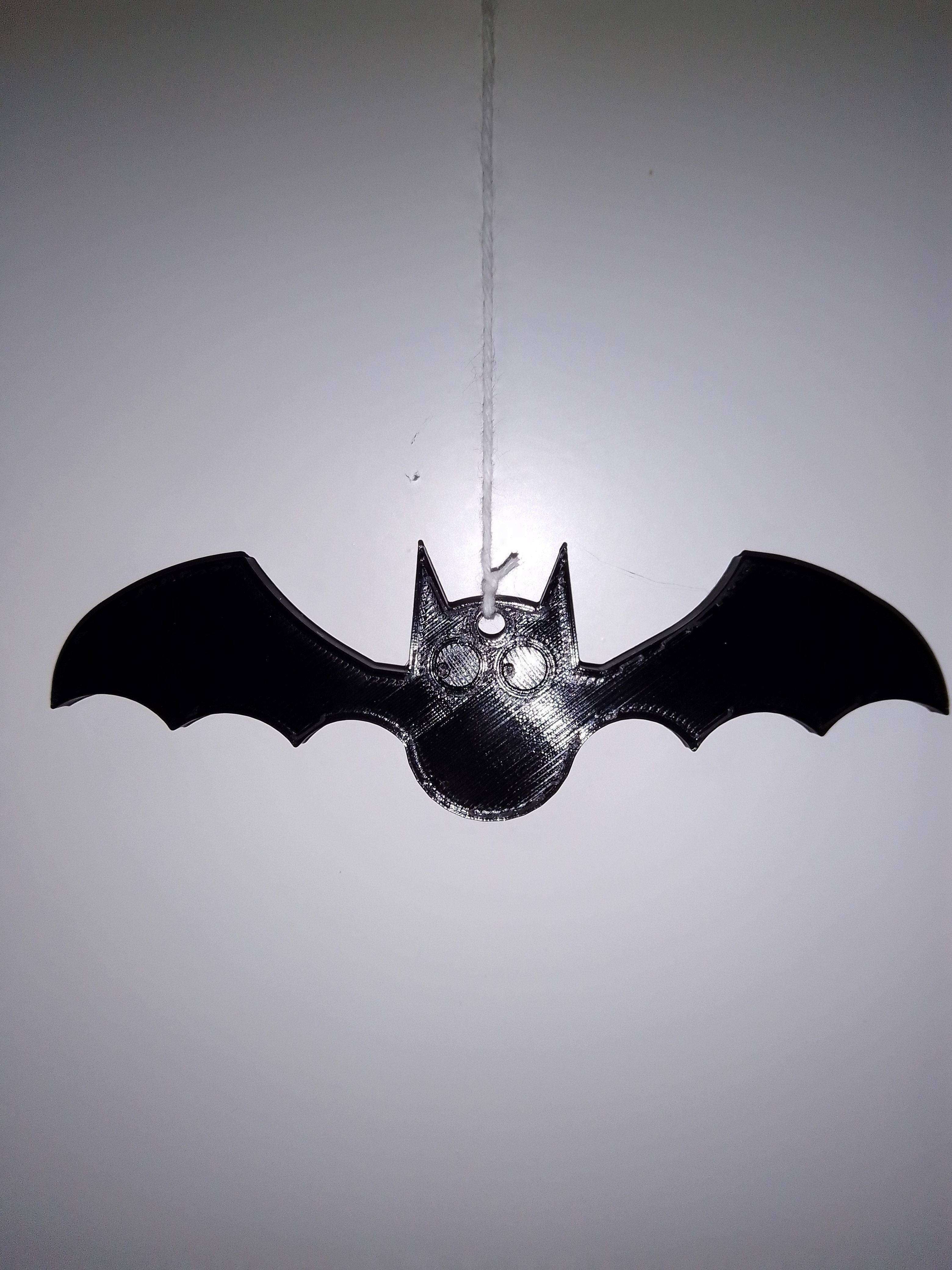 bat with hole (decimeter 4)
