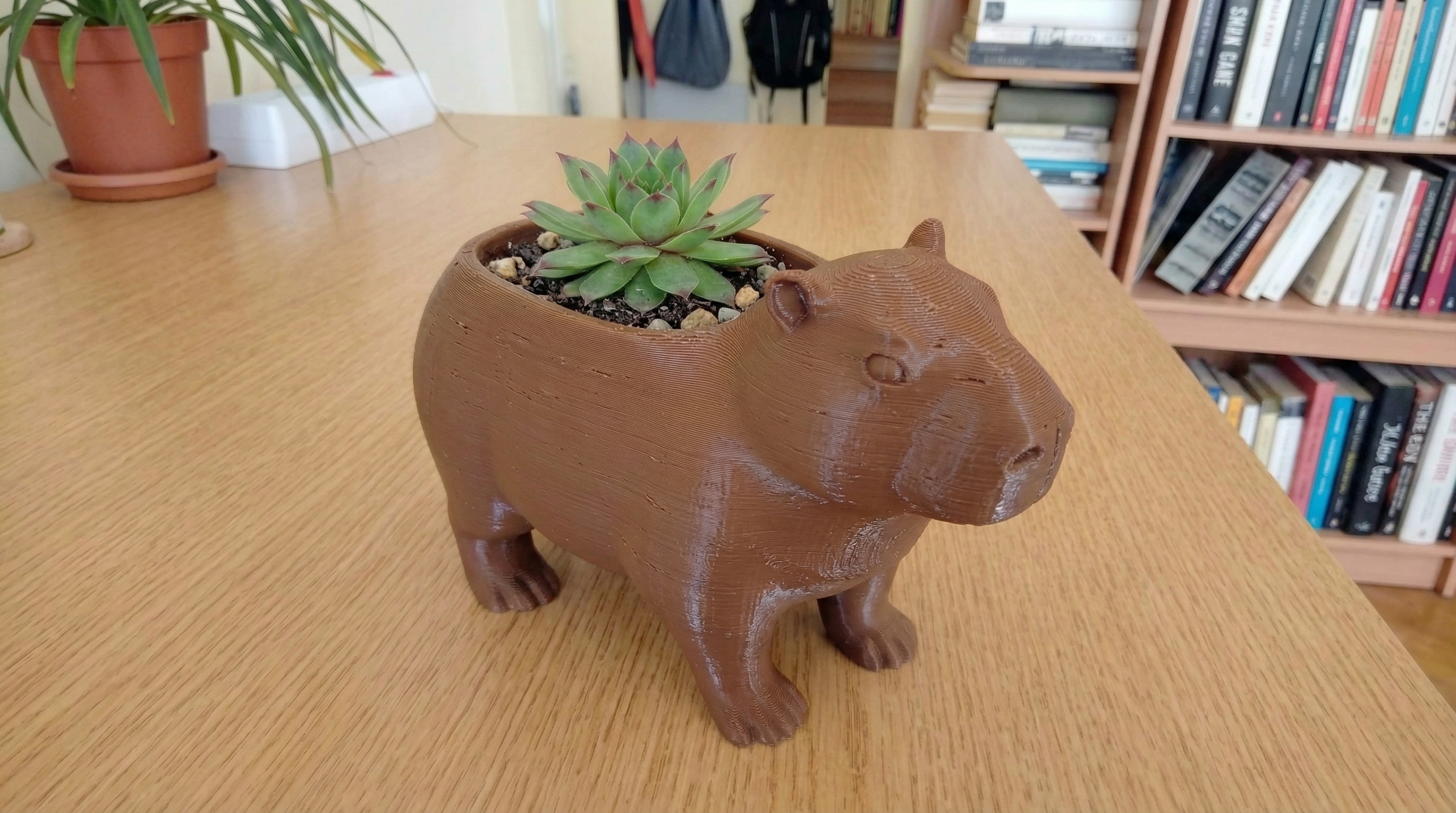Zen Capybara Planter - Cute Animal Flower Pot