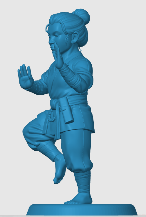 Halfling Monk — miniatura 4