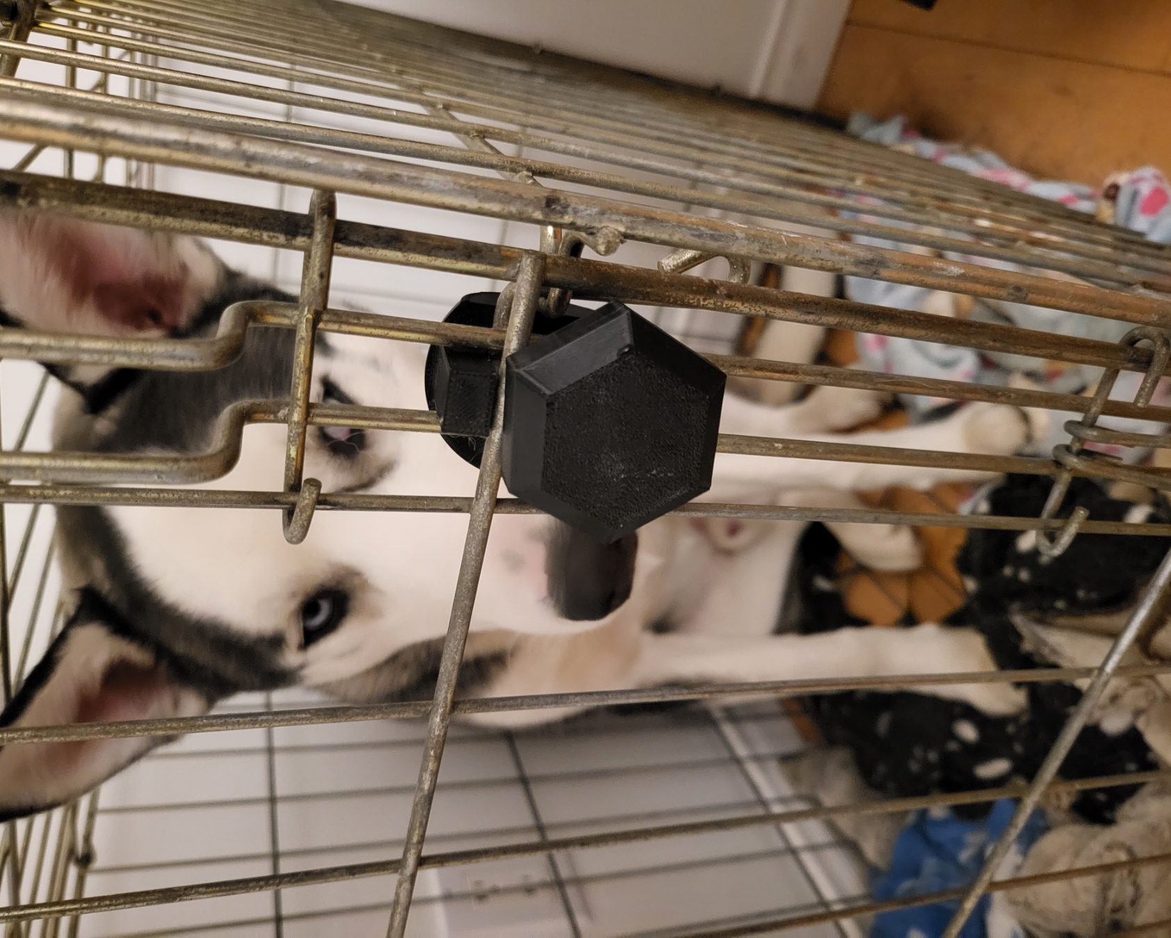 Crate secure lock