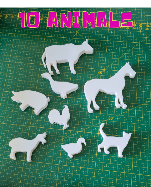 Animal collection