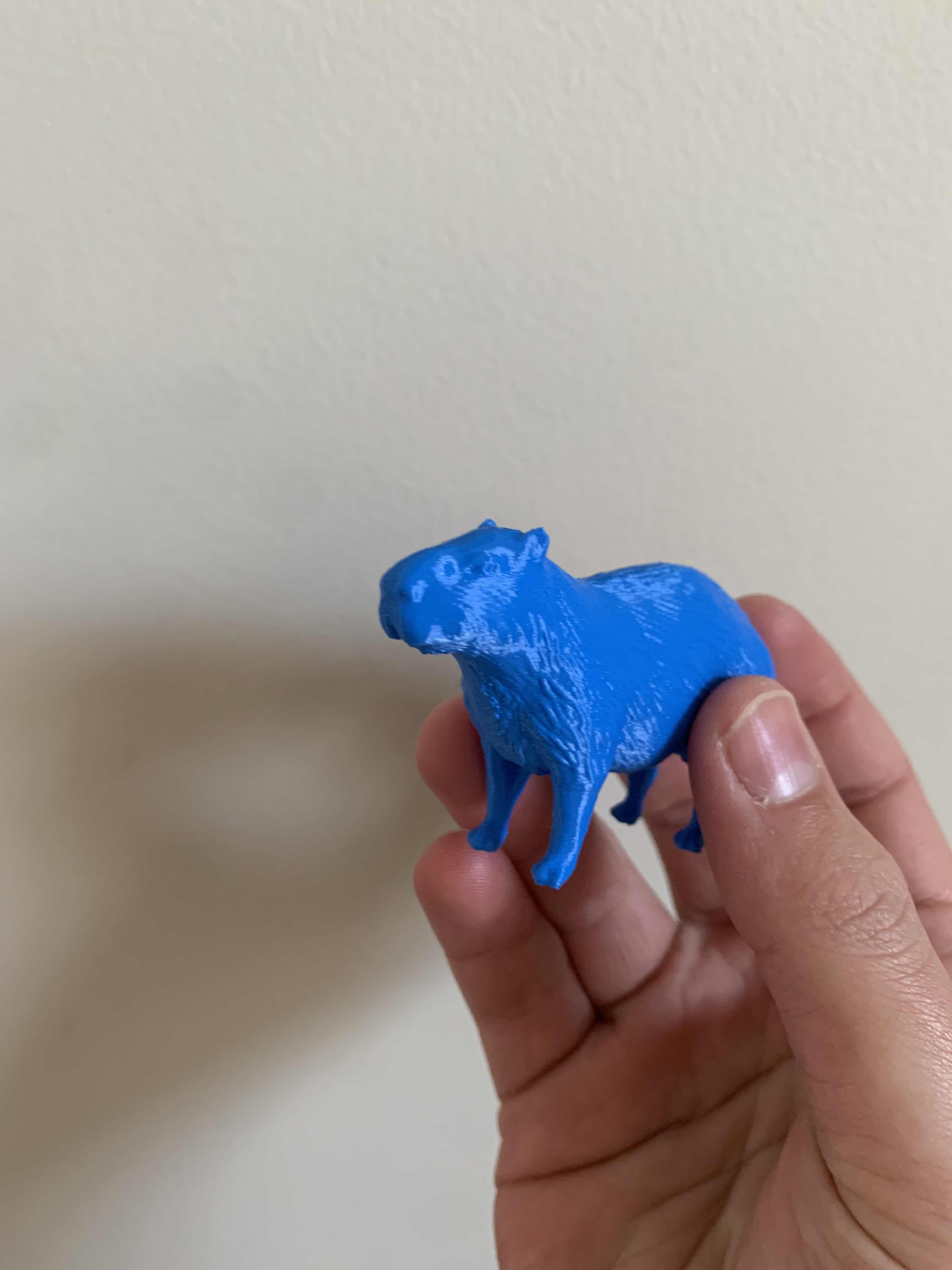 Free STL file Capybara 🎲・3D printer model to download・Cults