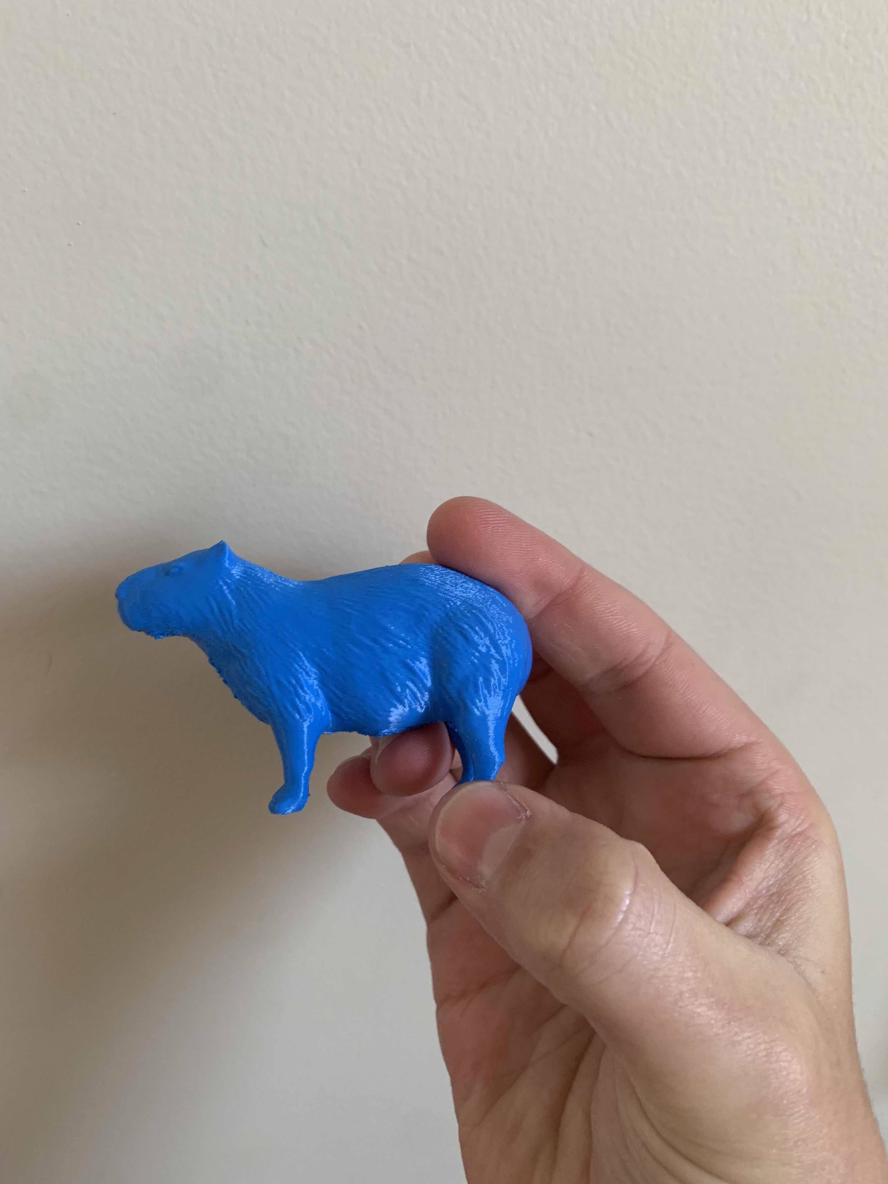 Free STL file Capybara 🎲・3D printer model to download・Cults