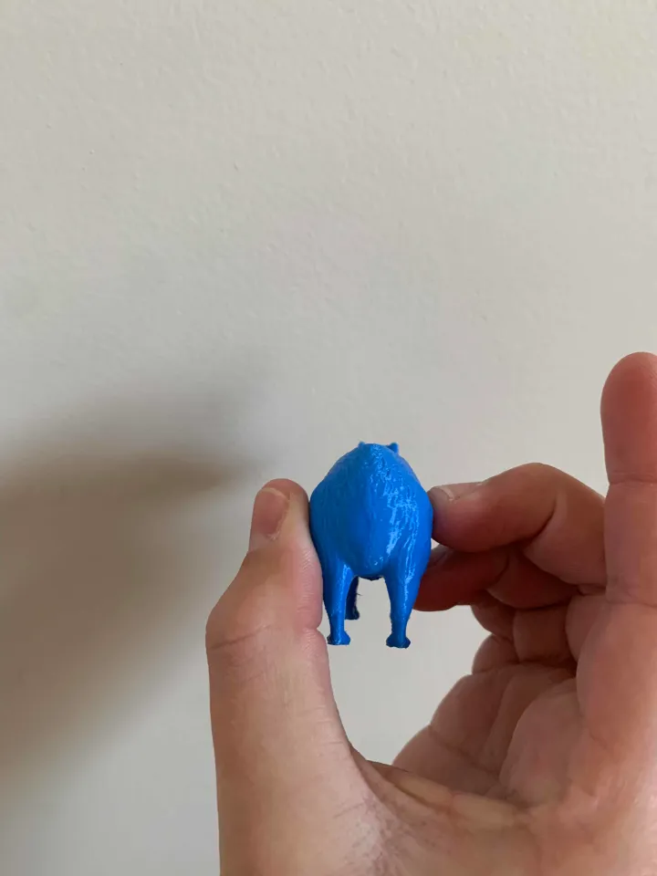 capybara Modelli 3D - Scaricato 3D capybara Available formats: c4d