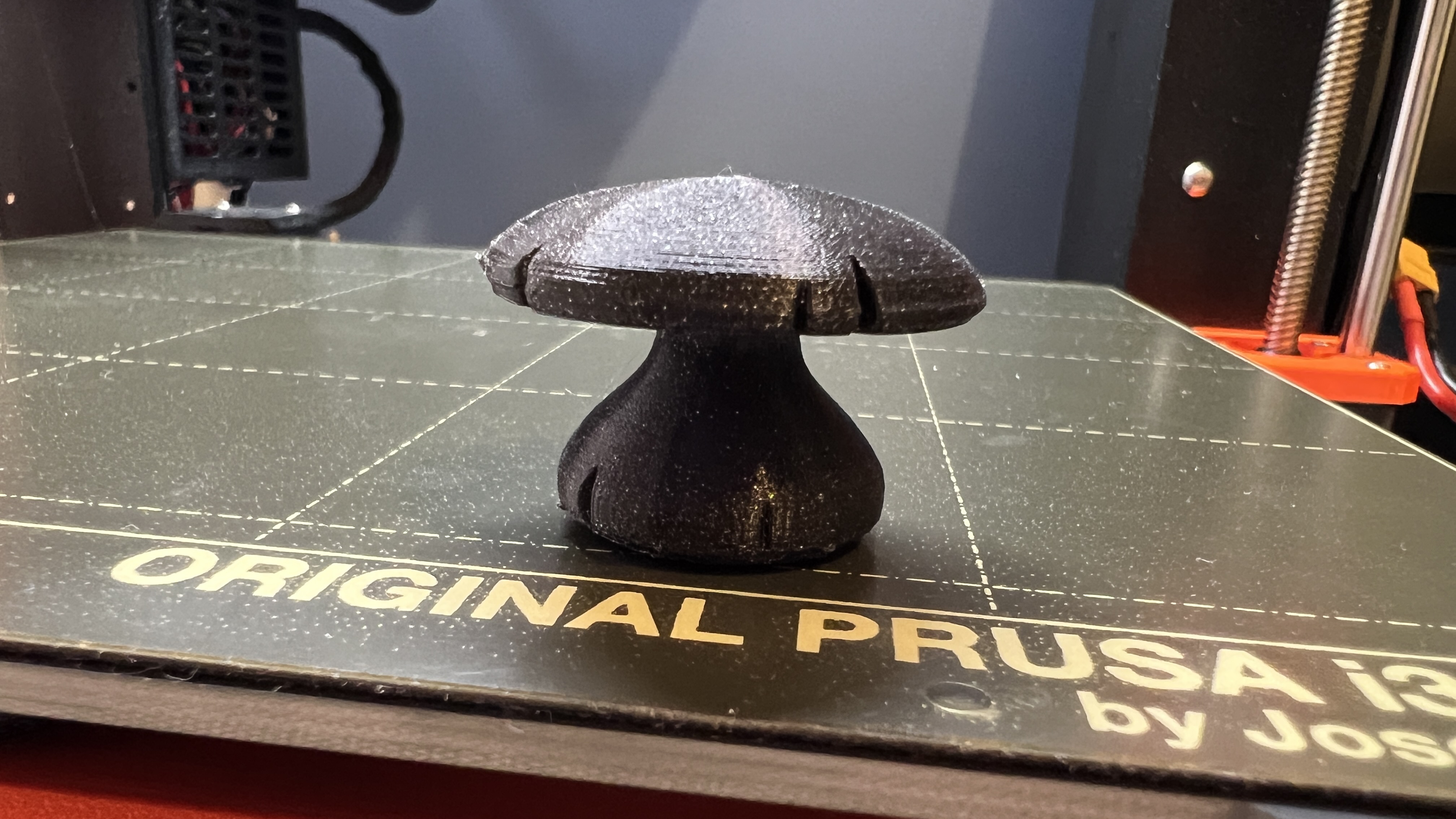 Champignon / Mushroom