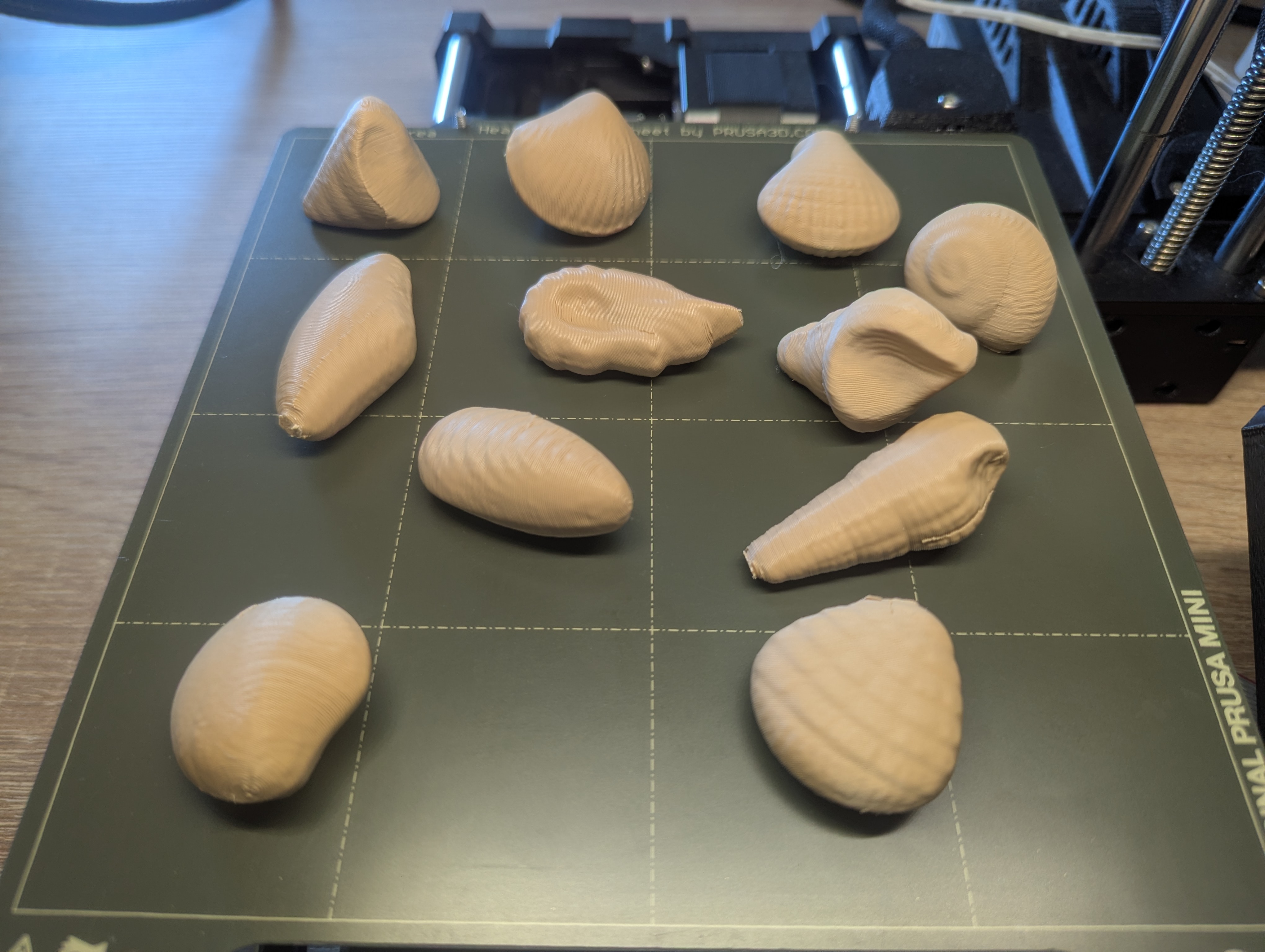 Belgian Chocolate Seashells (3D Scan)
