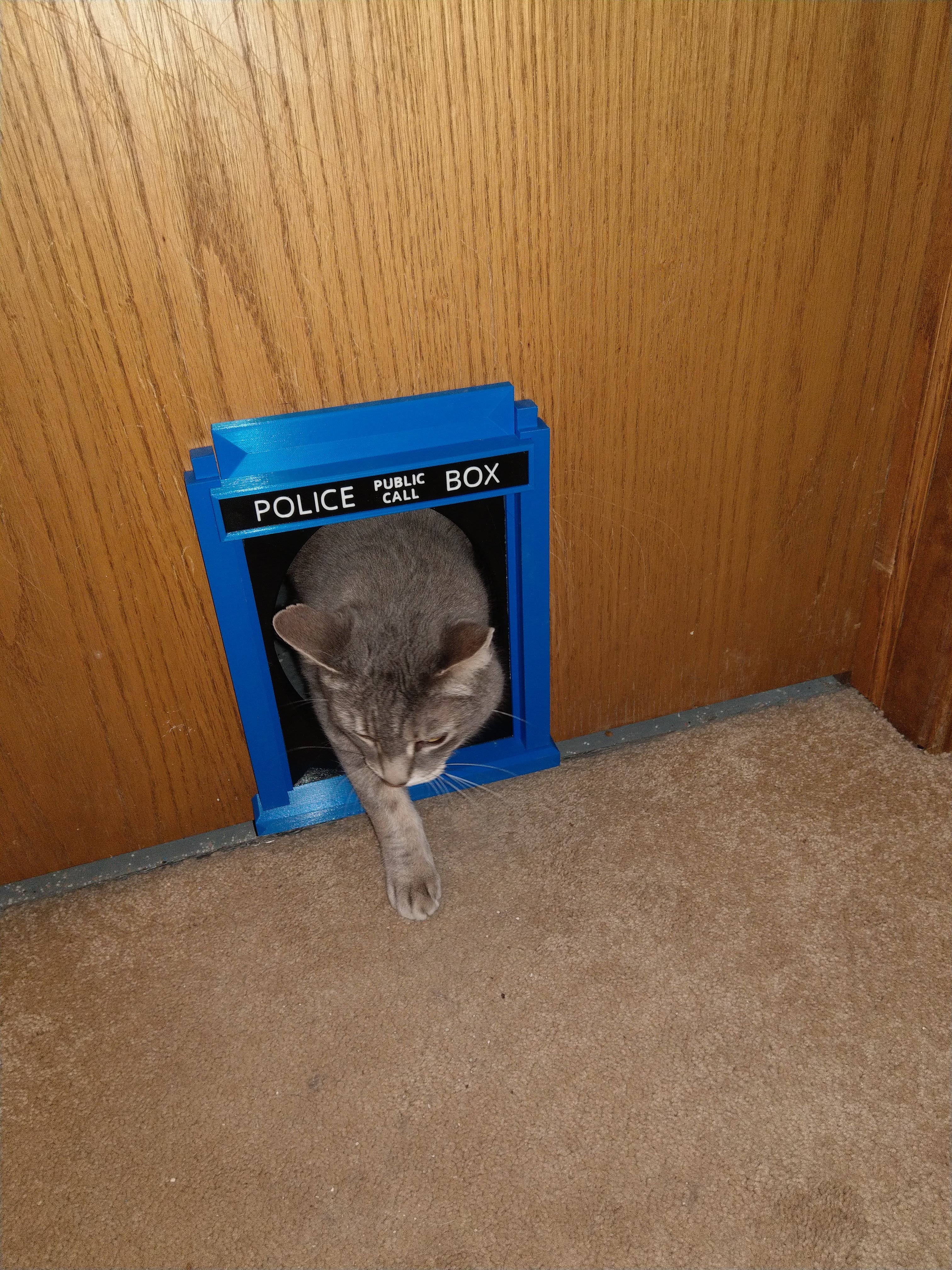 Tardis Cat Door - Tardic Portal