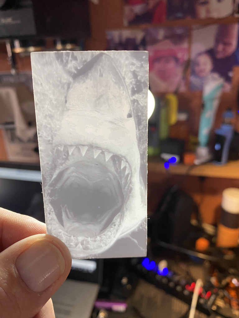 Great White Lithophane by Neal | Download free STL model | Printables.com
