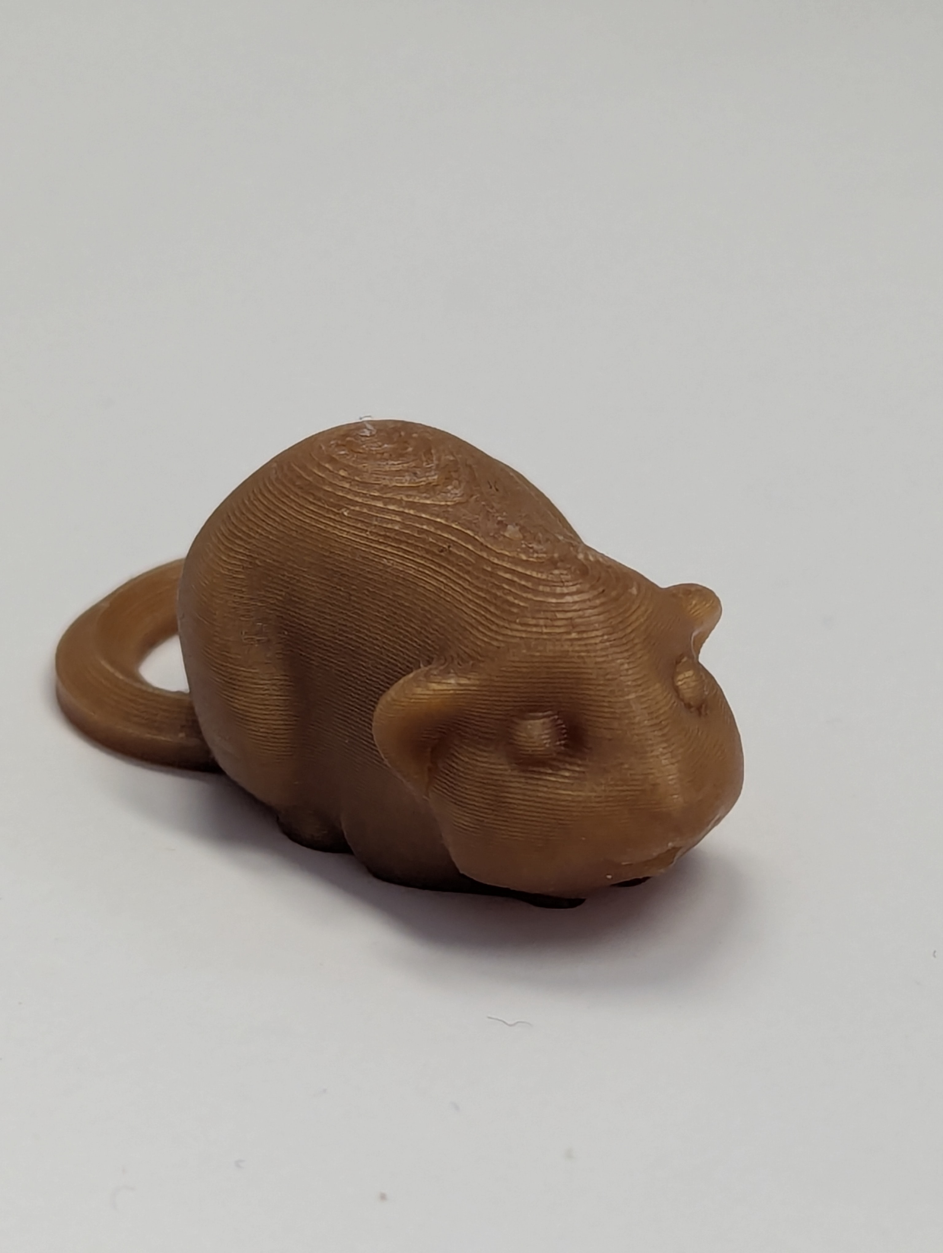 GuineaPig keychain
