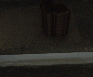 Rabbit Slinky — thumbnail 5