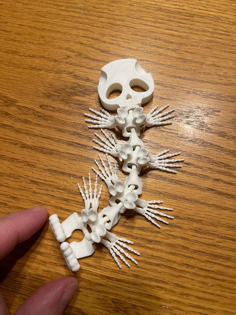 Skeleton articulating body with hands for Halloween