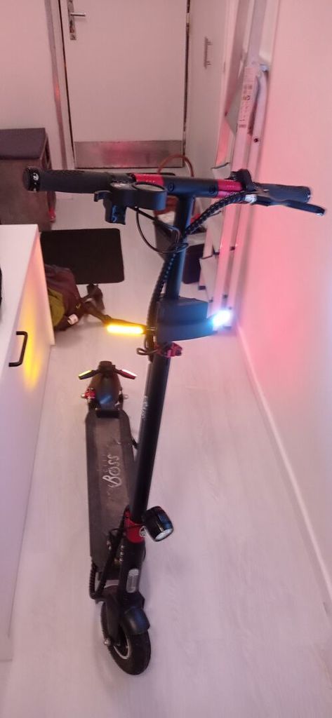 DNL Escooter turn signals mod [City Boss RX5L]