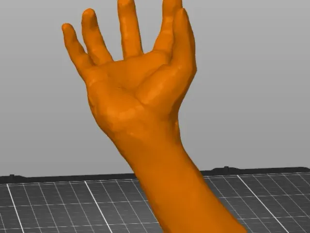 3d Scanned Hand