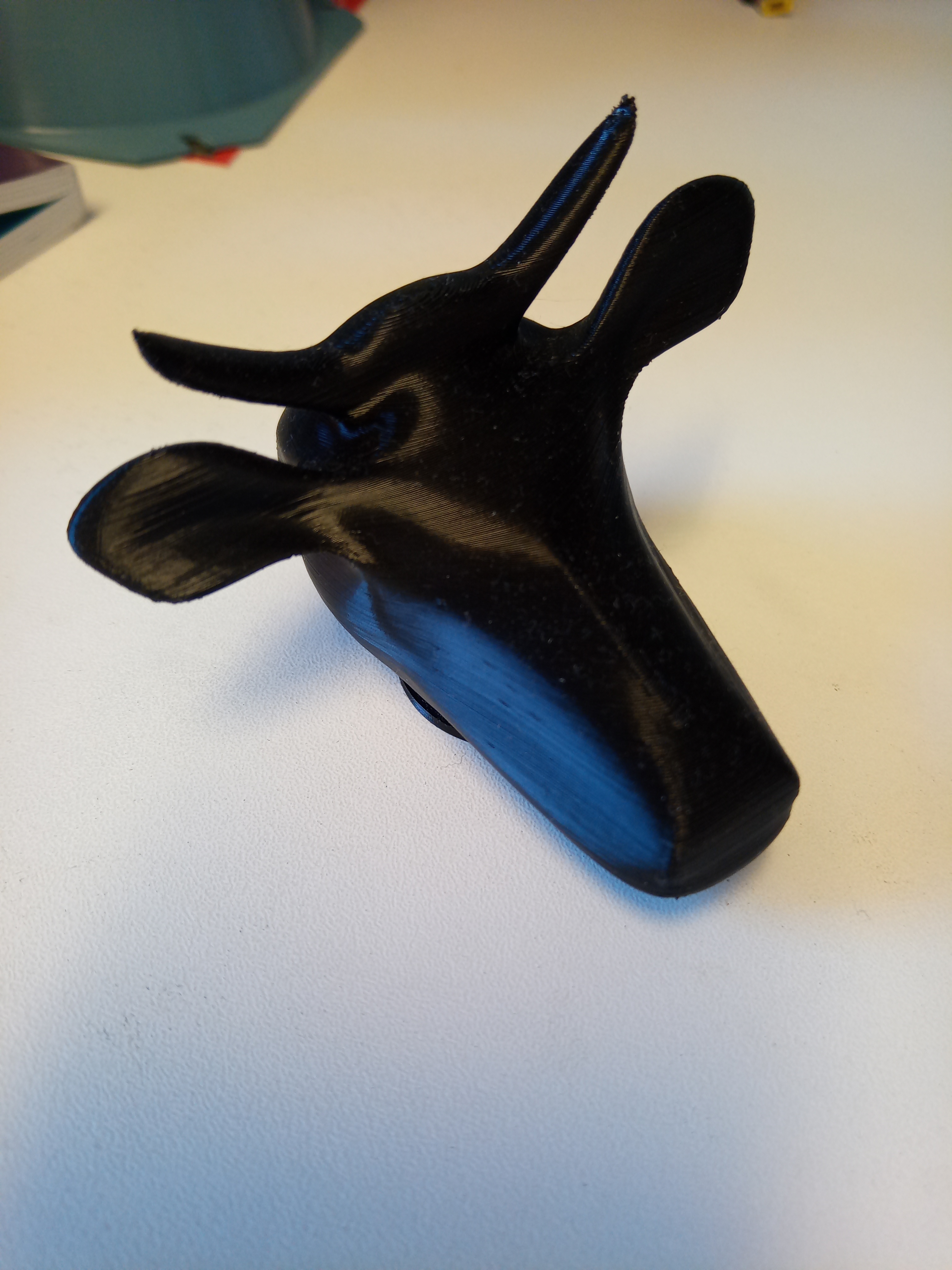 Cow head