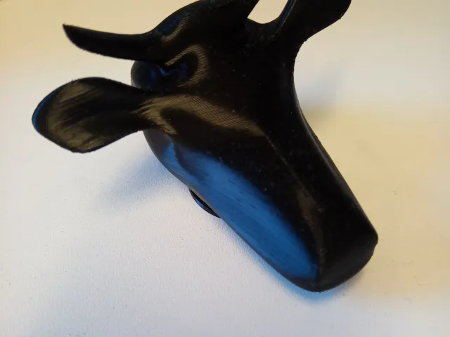 Cow head