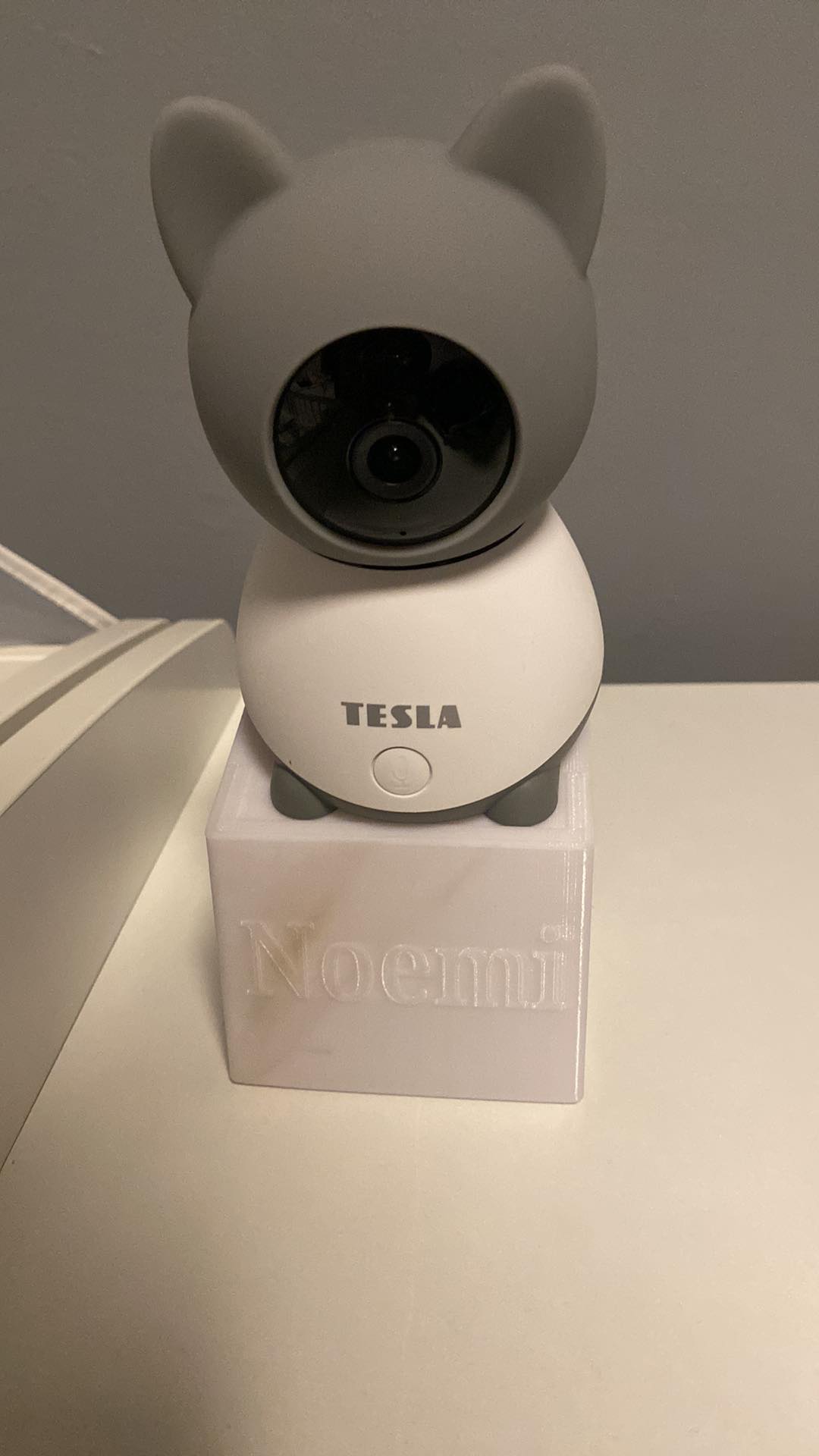 car camera for baby tesla