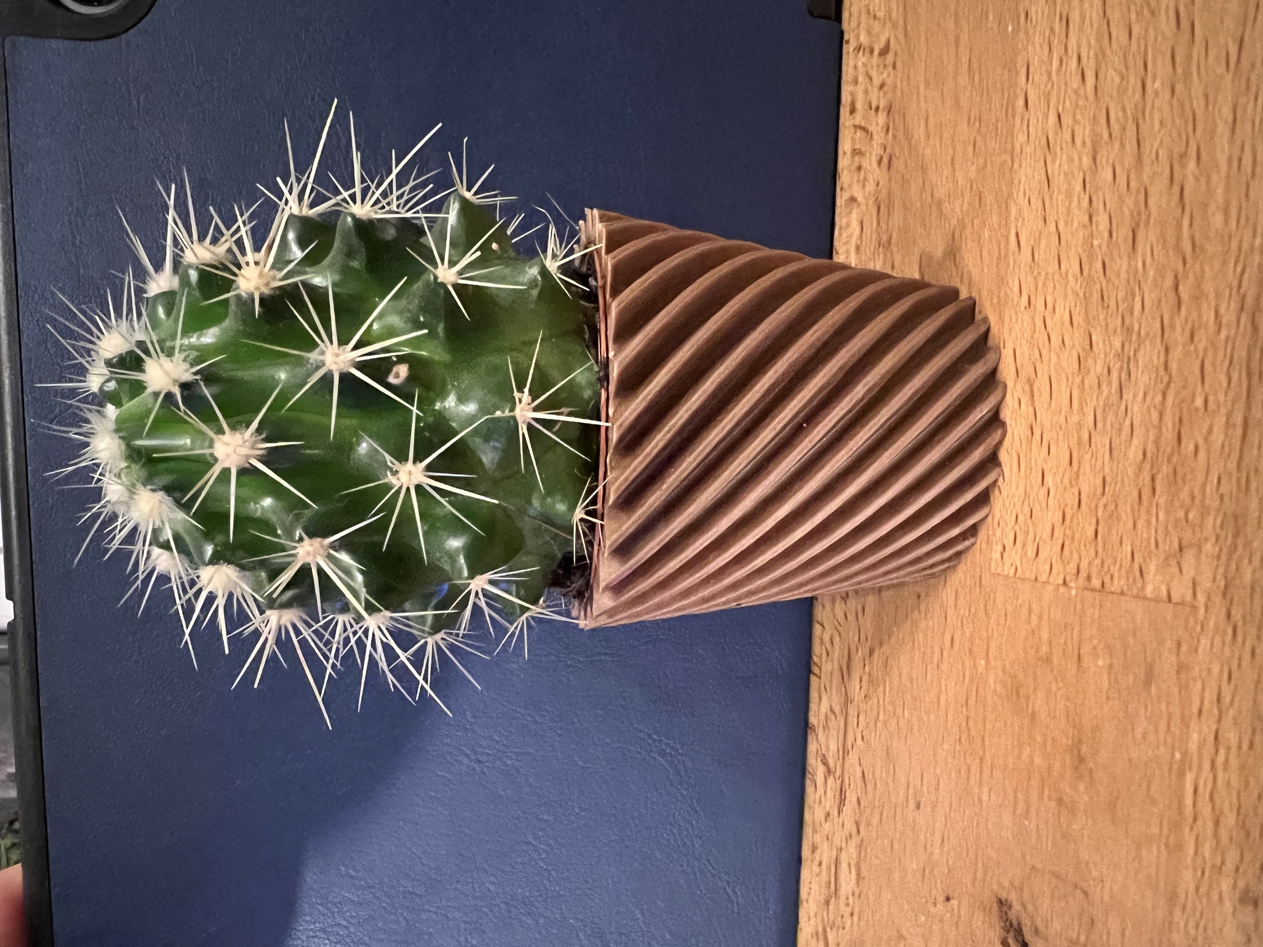 Flower pot 2