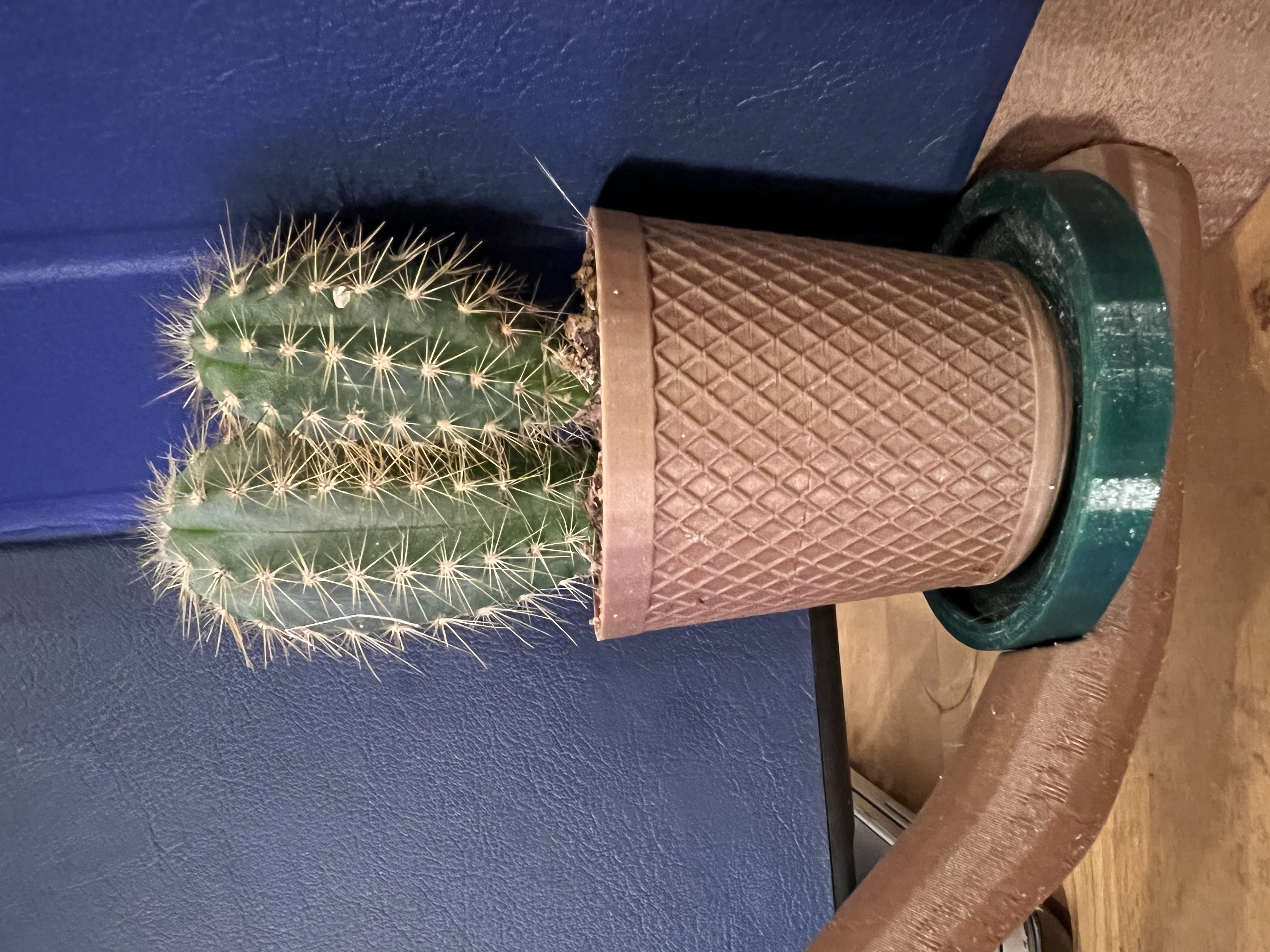 Flower pot