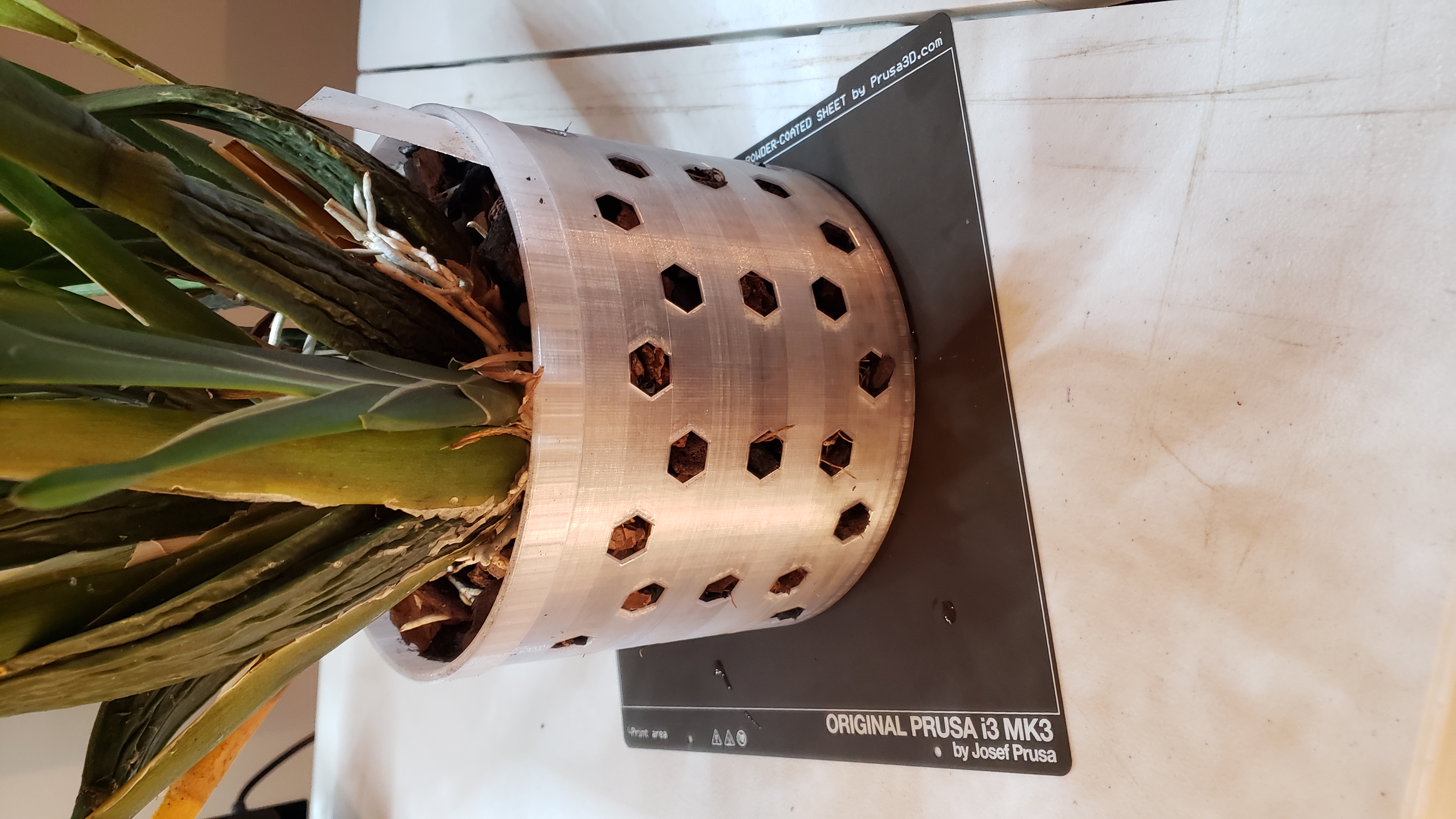 Miniatura 2 do modelo 3D Orchid Pot Hexagon