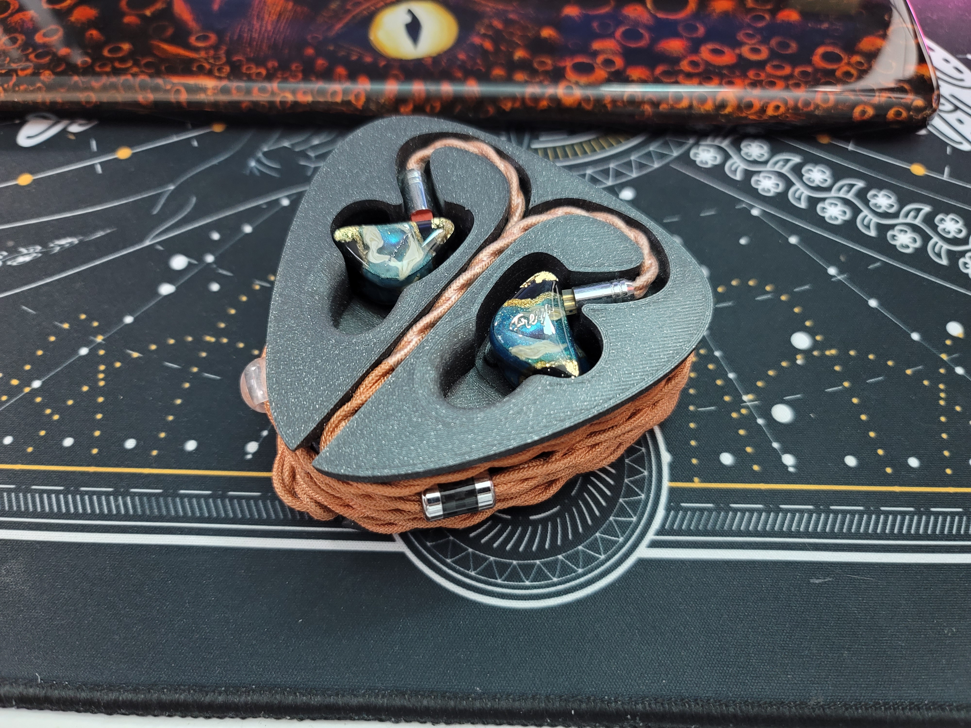 IEM holder