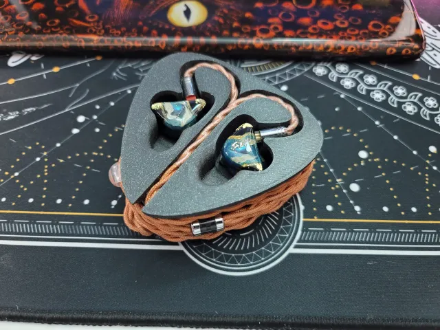 IEM holder