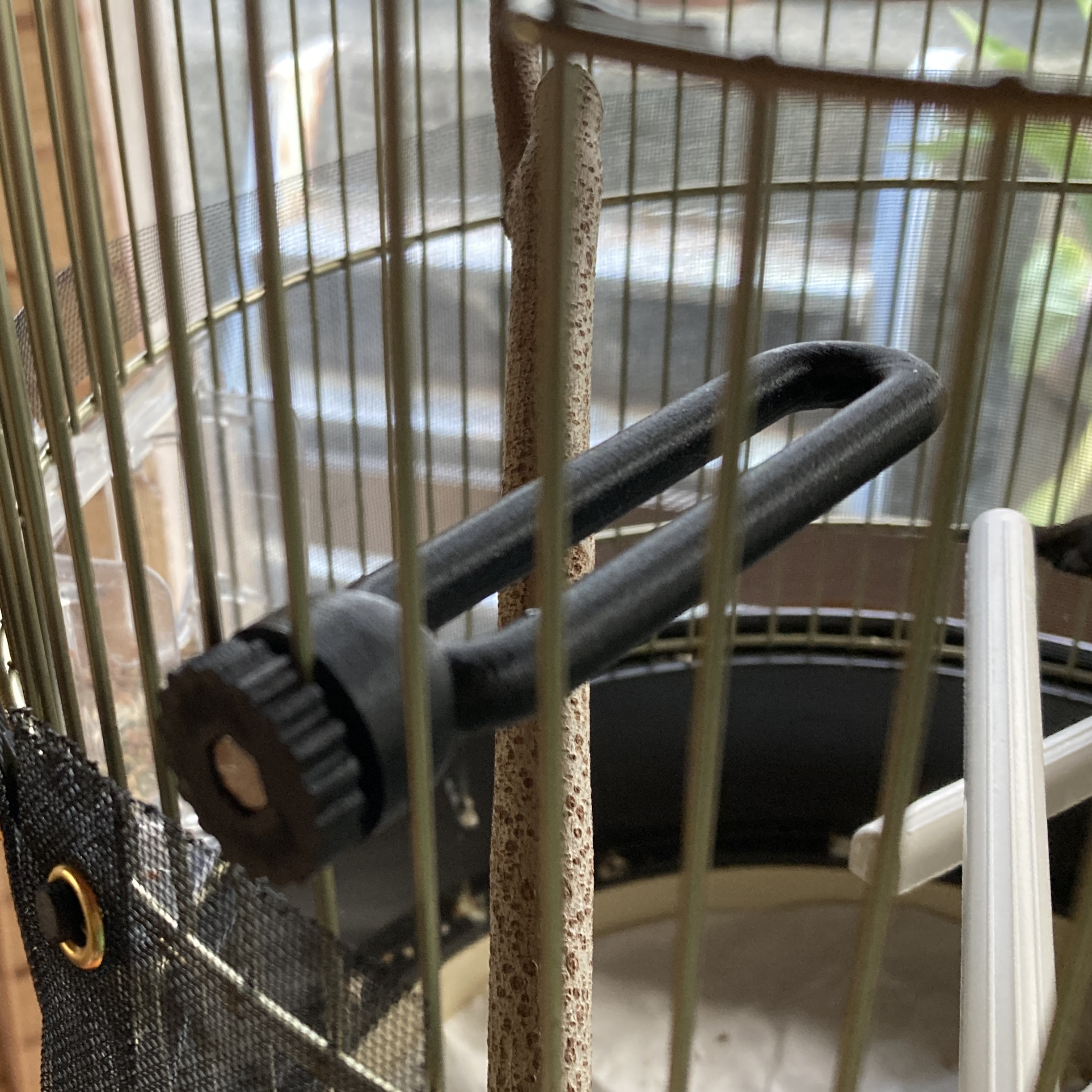 Bird Cage Perch