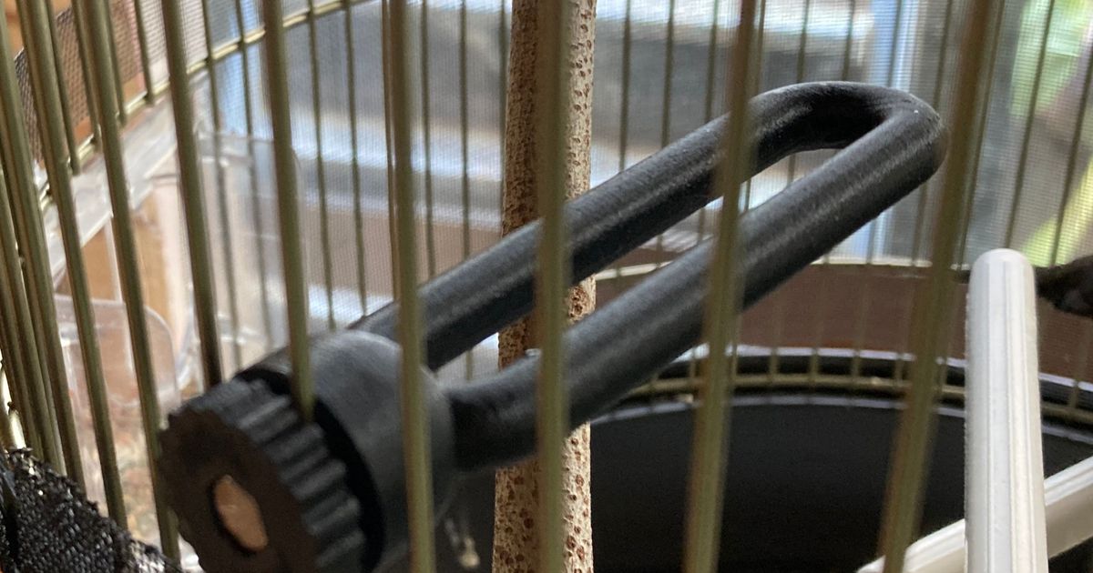 Bird Cage Perch by cocian Download free STL model