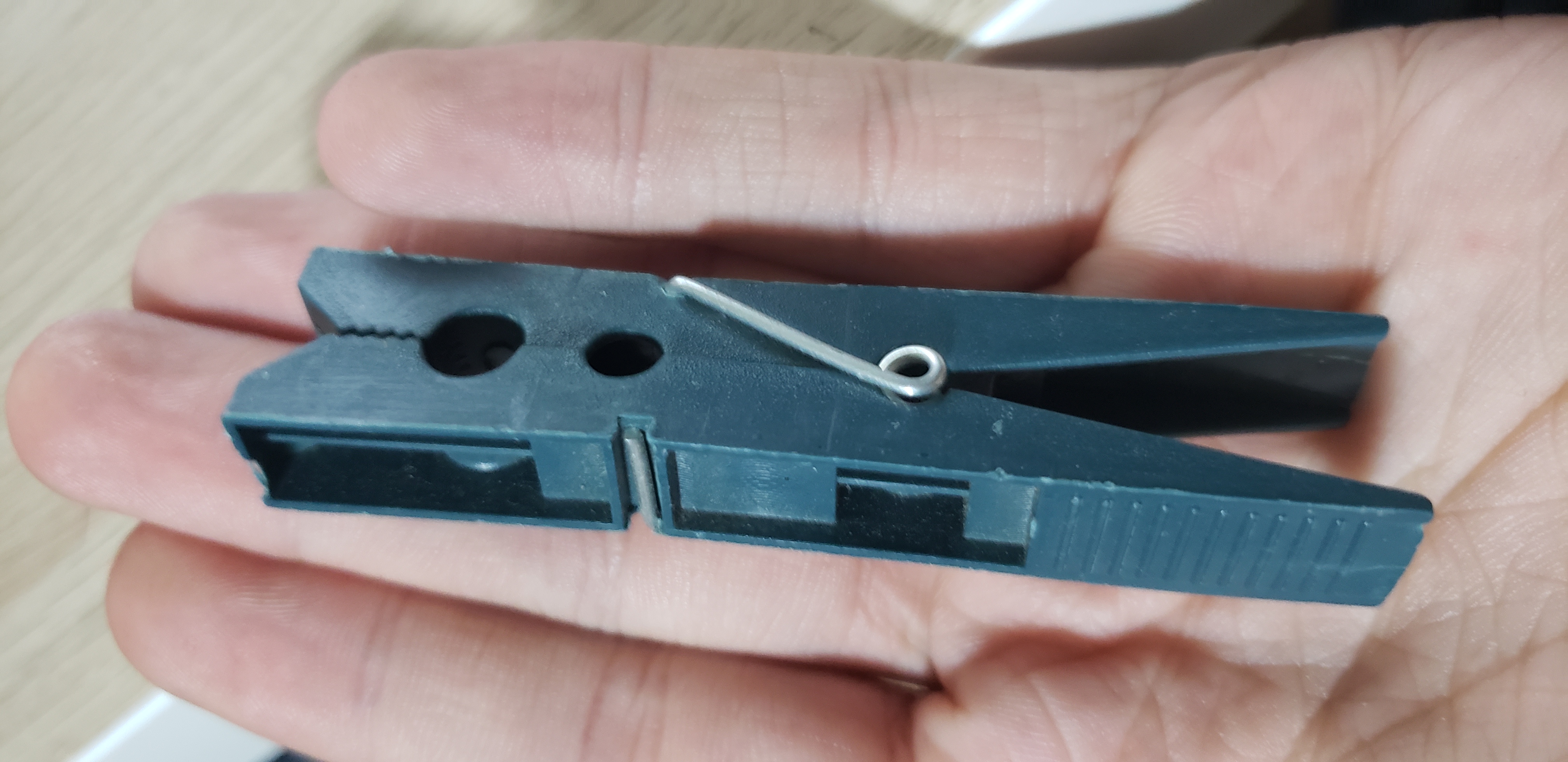 Laundry clip