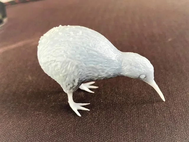 Kiwi Bird!