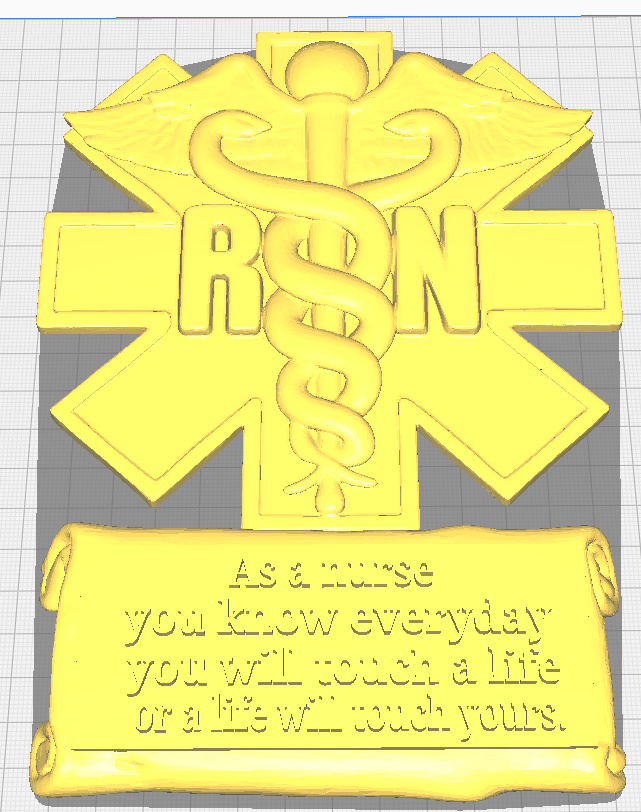 RSN nurse plaque