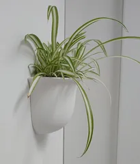 Wall-mounted Flower Pot