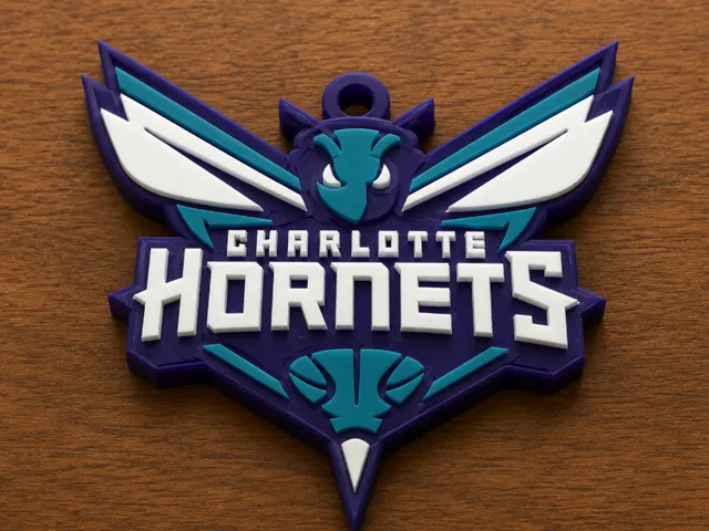 Charlotte Hornets Oversized Logo Pendant