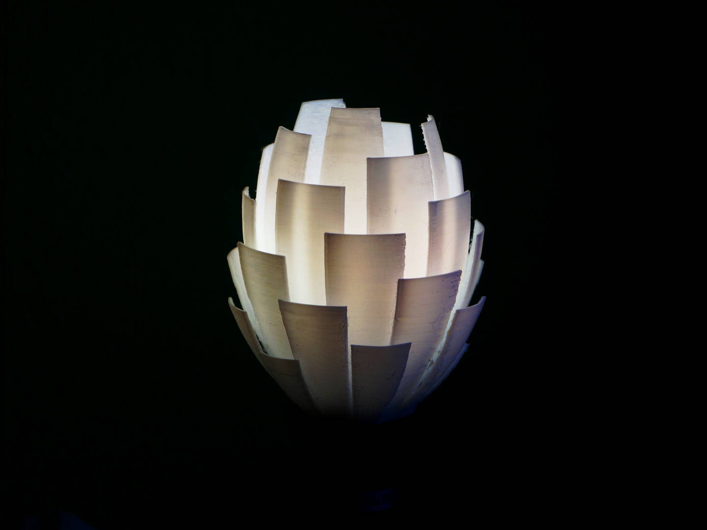 Shells Lampshade