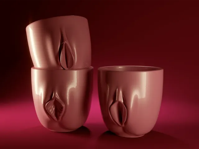 Parental Advisory Vulva Cups