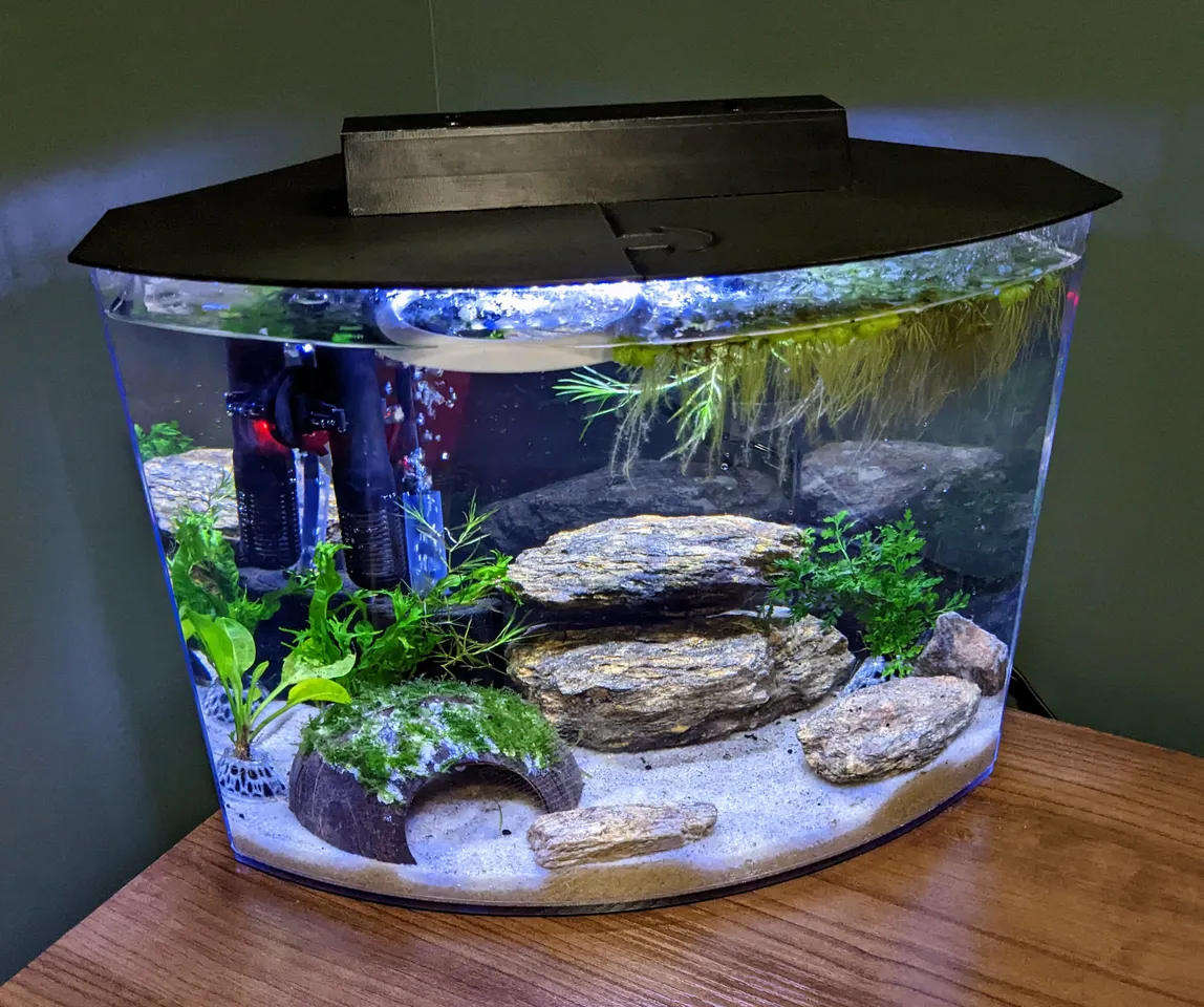 Tetra Crescent 5 gallon aquarium lid by MortalWombat, Download free STL  model