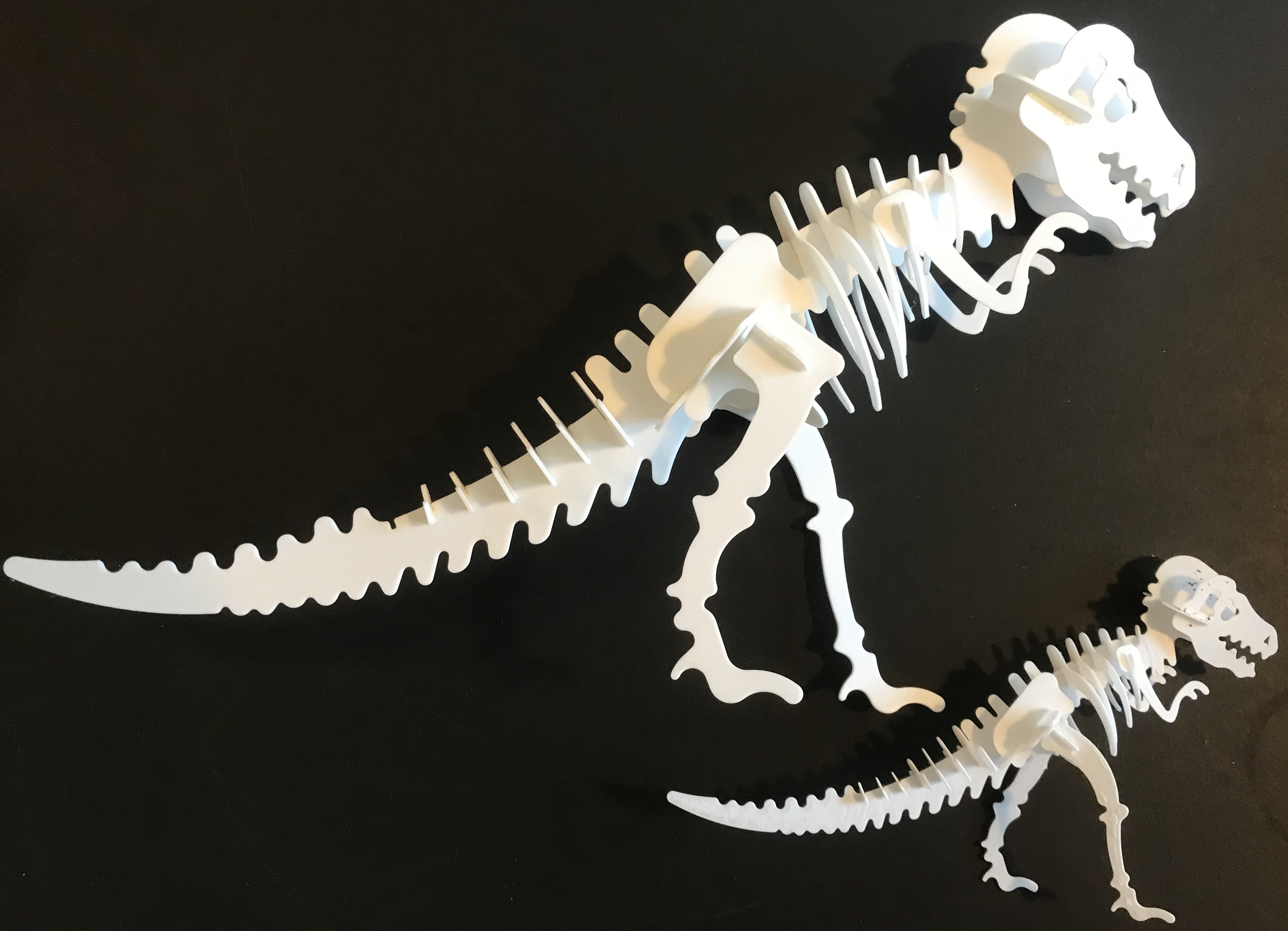 Tyrannous saurus rex (T-Rex) 3D puzzle