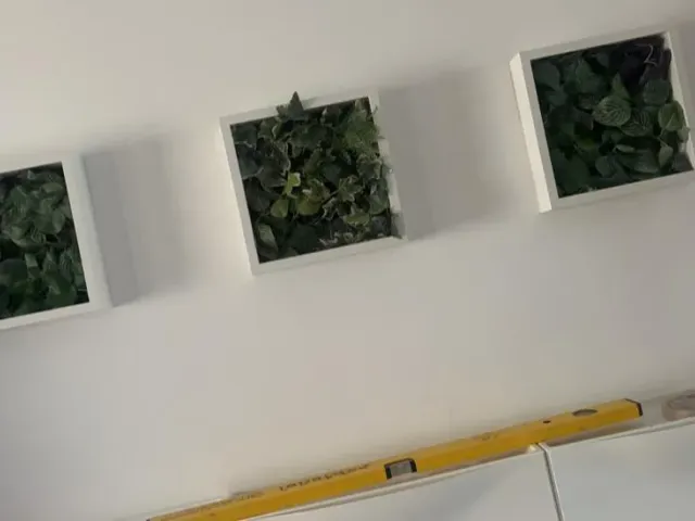 Picture/Frame Hanger for Doublesided Tape Strip
