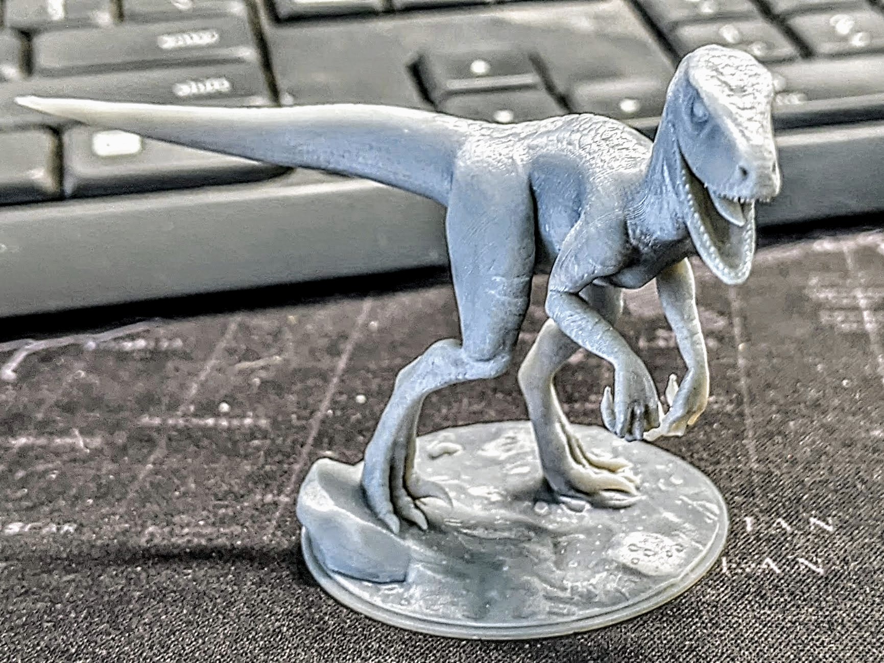 Dinosaur Raptor