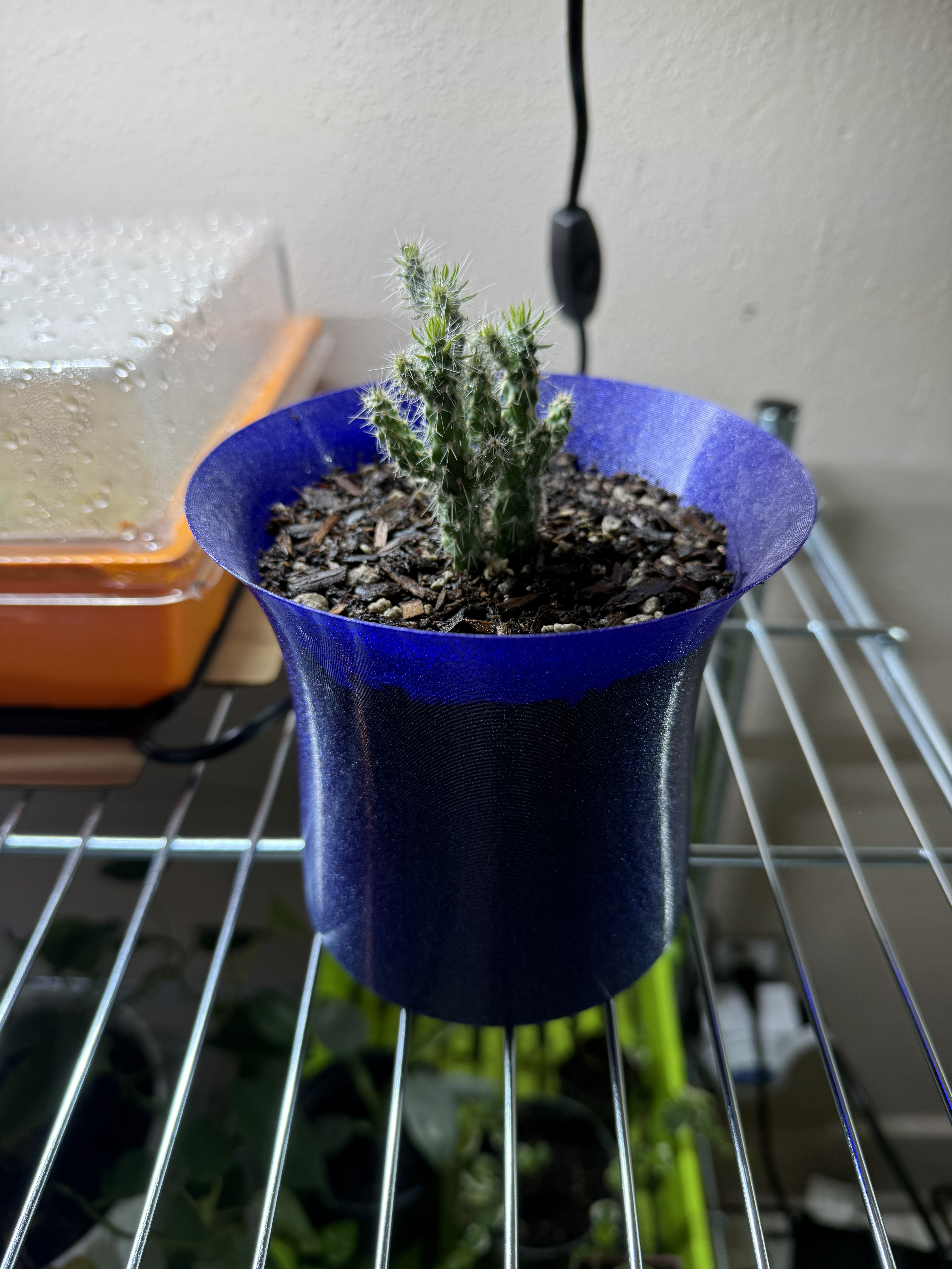 Cylindrical Plant Pot with Dish