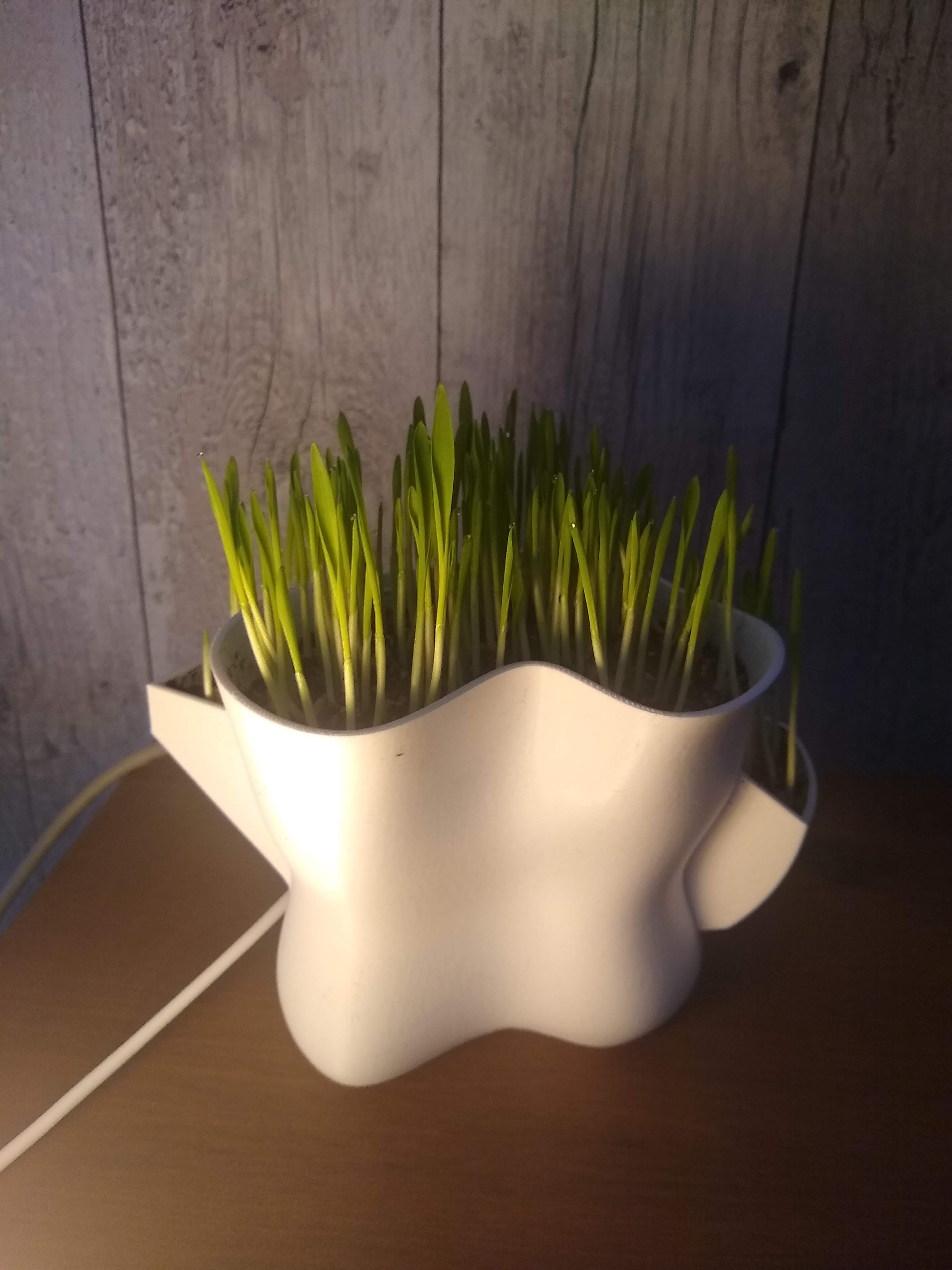 Abstract Plant Pot