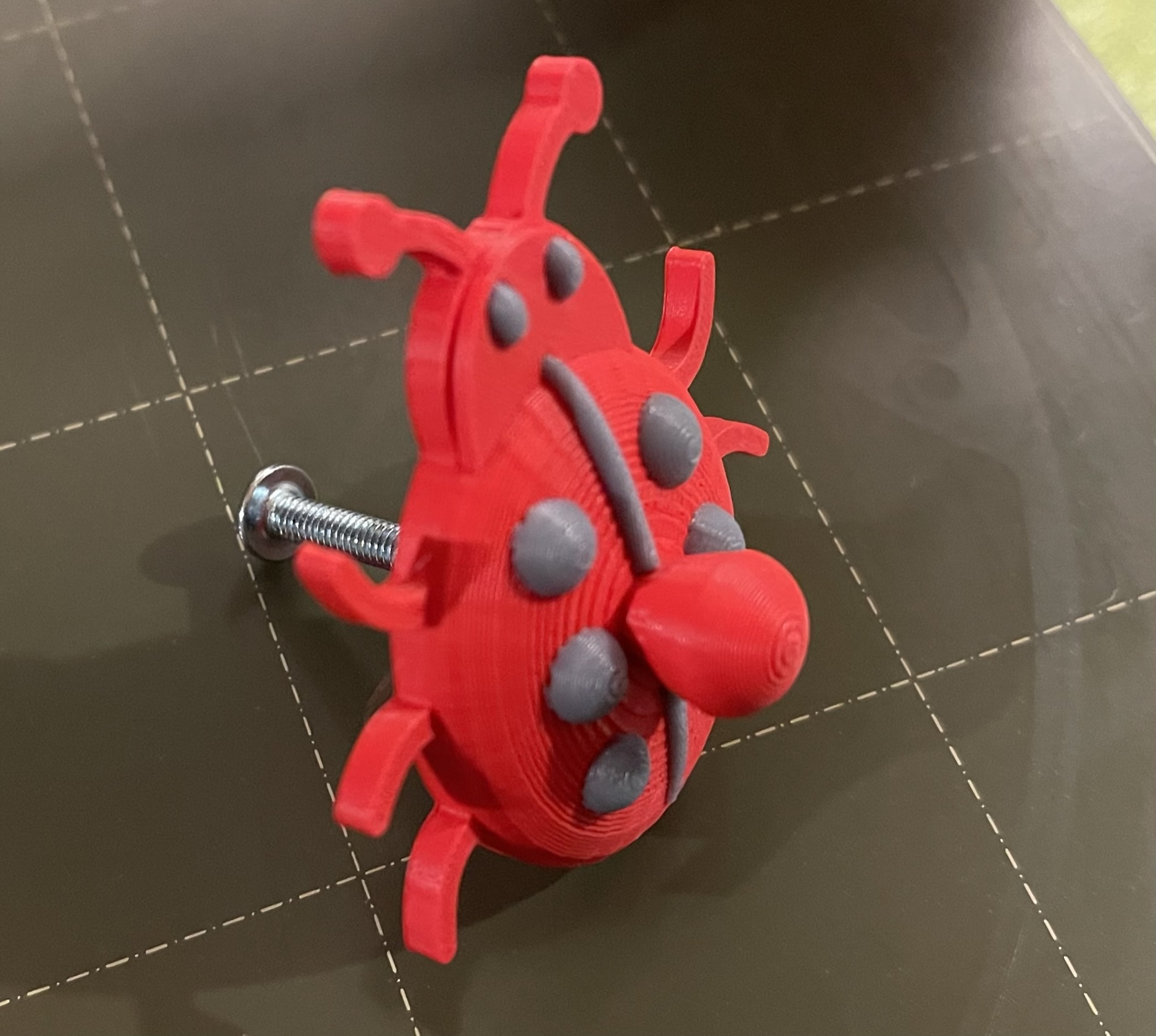 Lady Bug Door knob