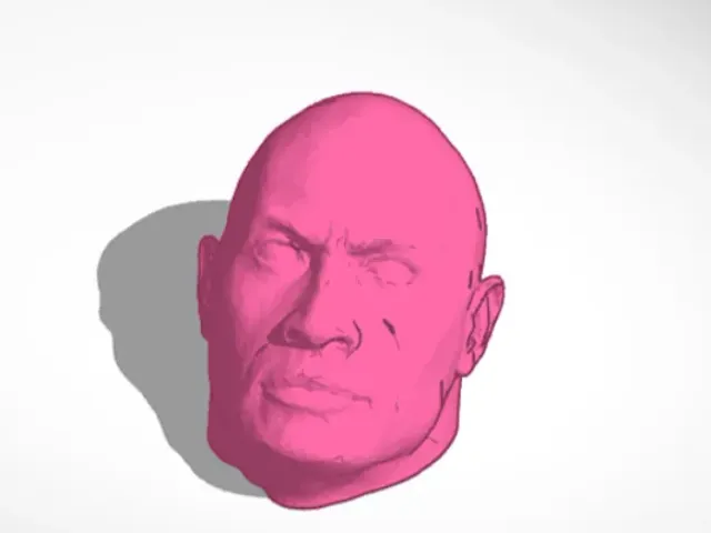 The Rock