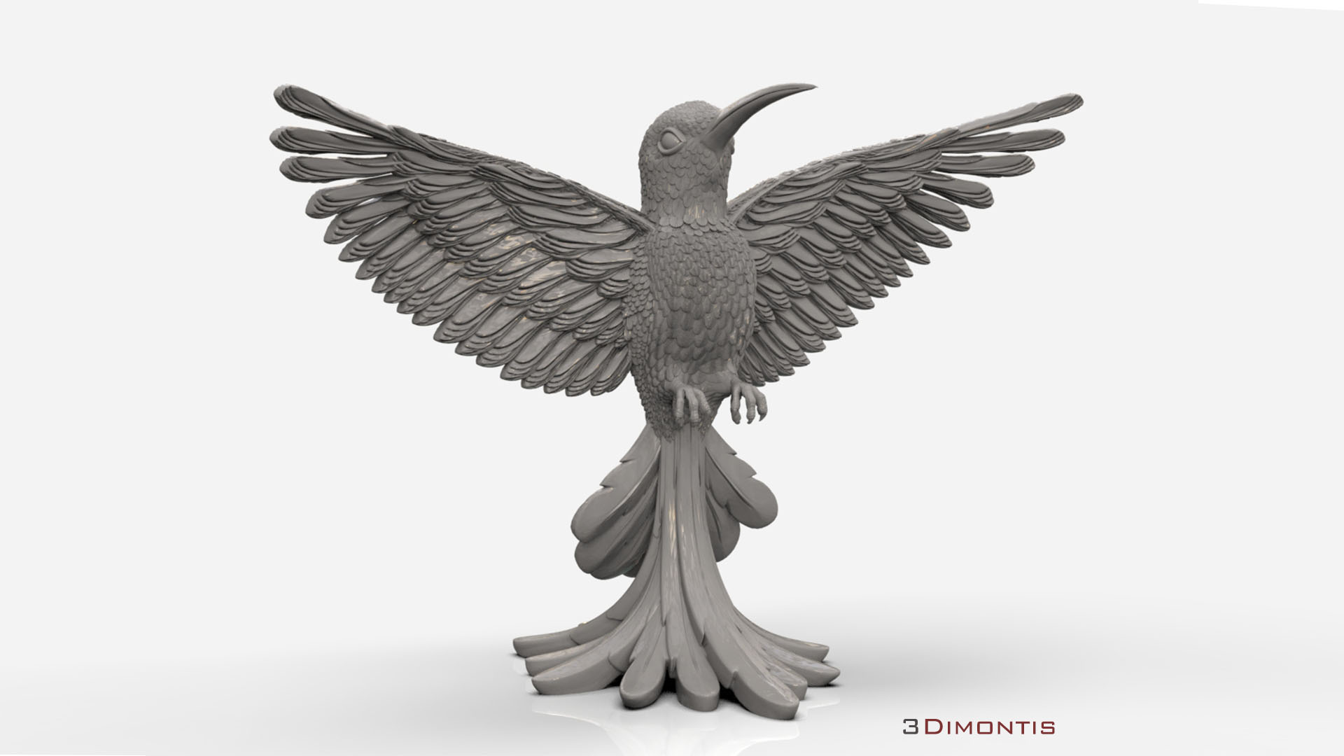 hummingbird