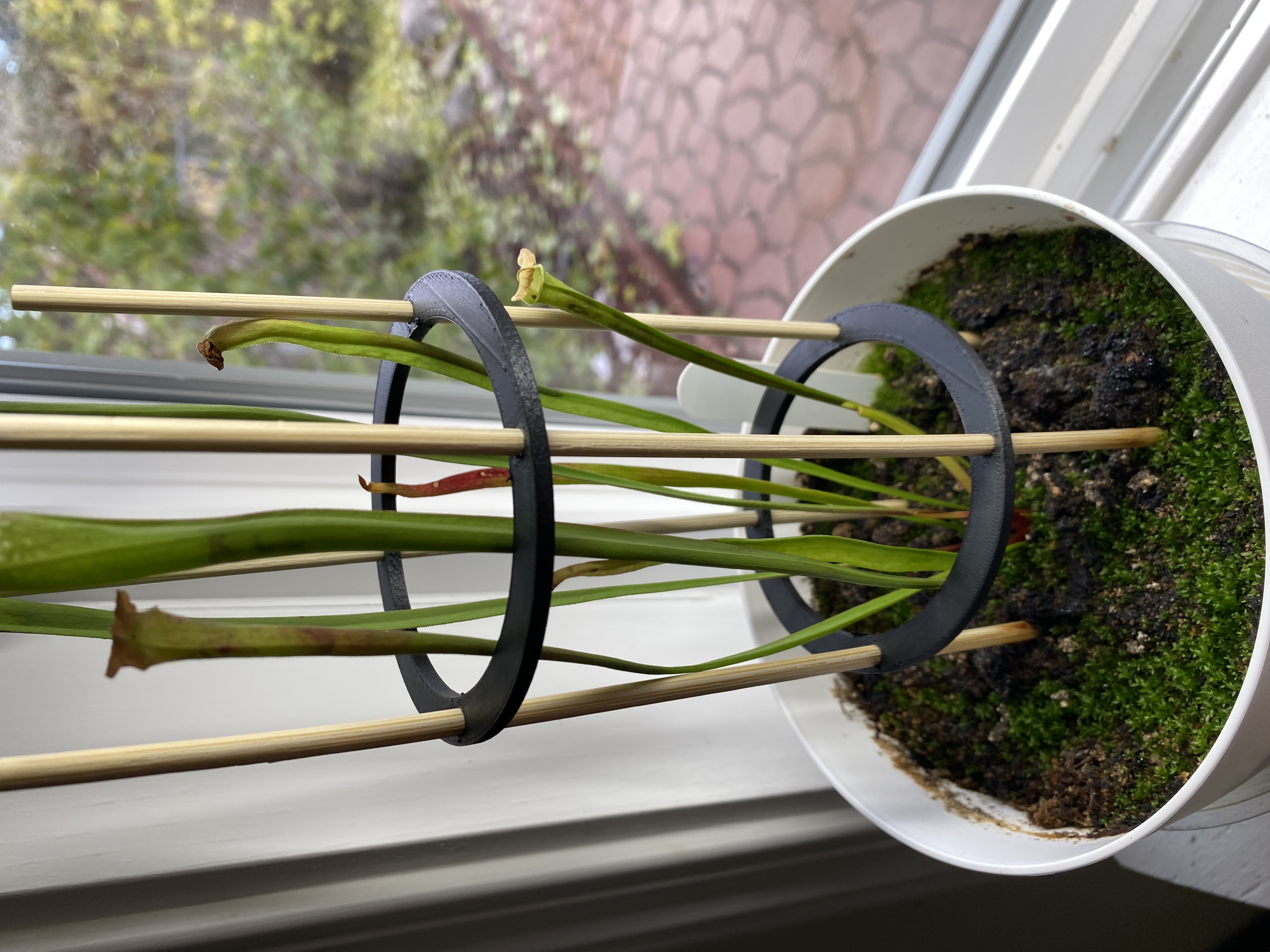 Plant Support Rings by Isaac Howard Download free STL model