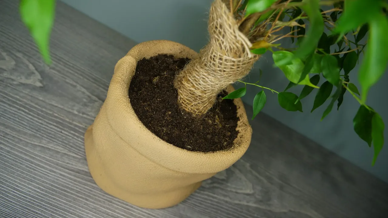 Burlap sack online planter