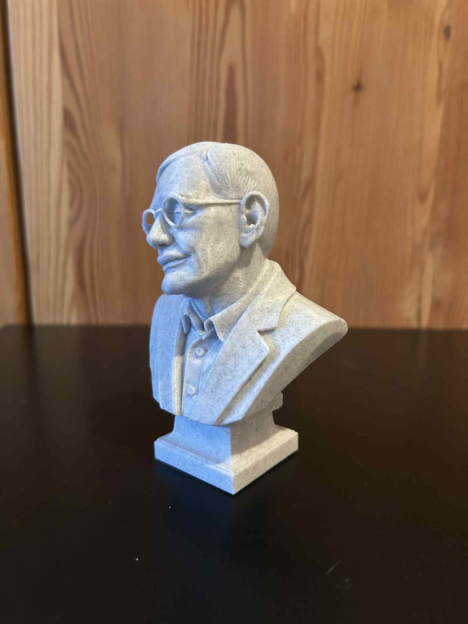 Stephen William Hawking – Bust — miniatura 4
