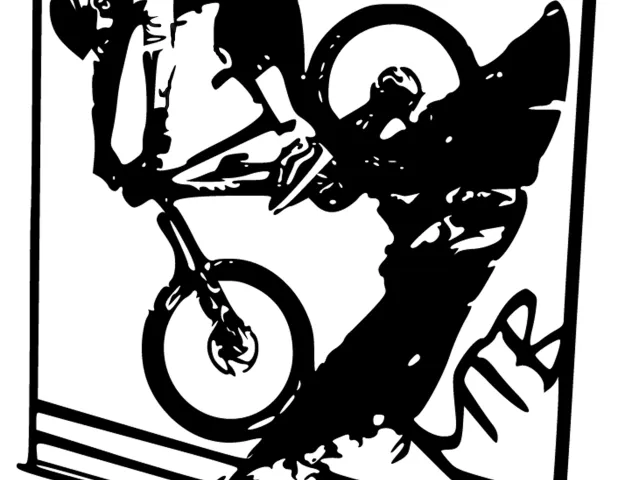 MTB wall art