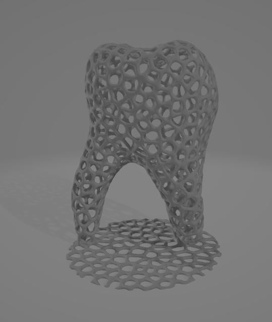voroni molar with base