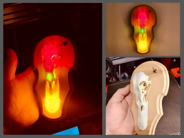 Duck hunt trophy - Christmas edition